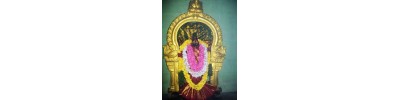 நார்த்தாம்பூண்டி